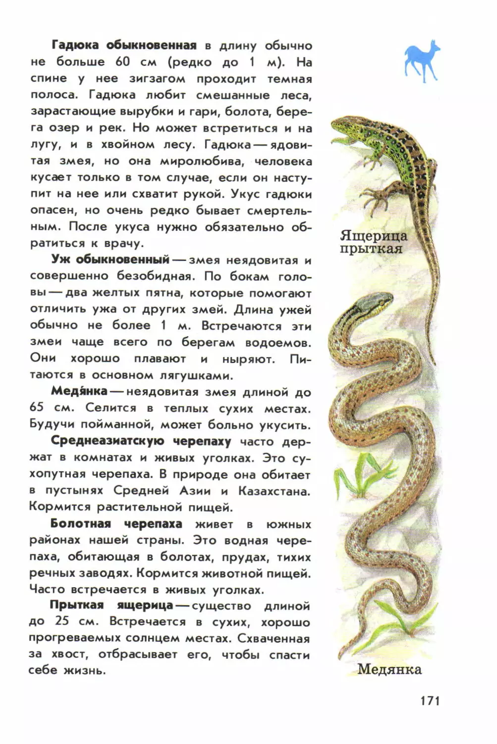 На каком рисунке изображена гадюка закрасьте кружок 3 класс сравнение сходство