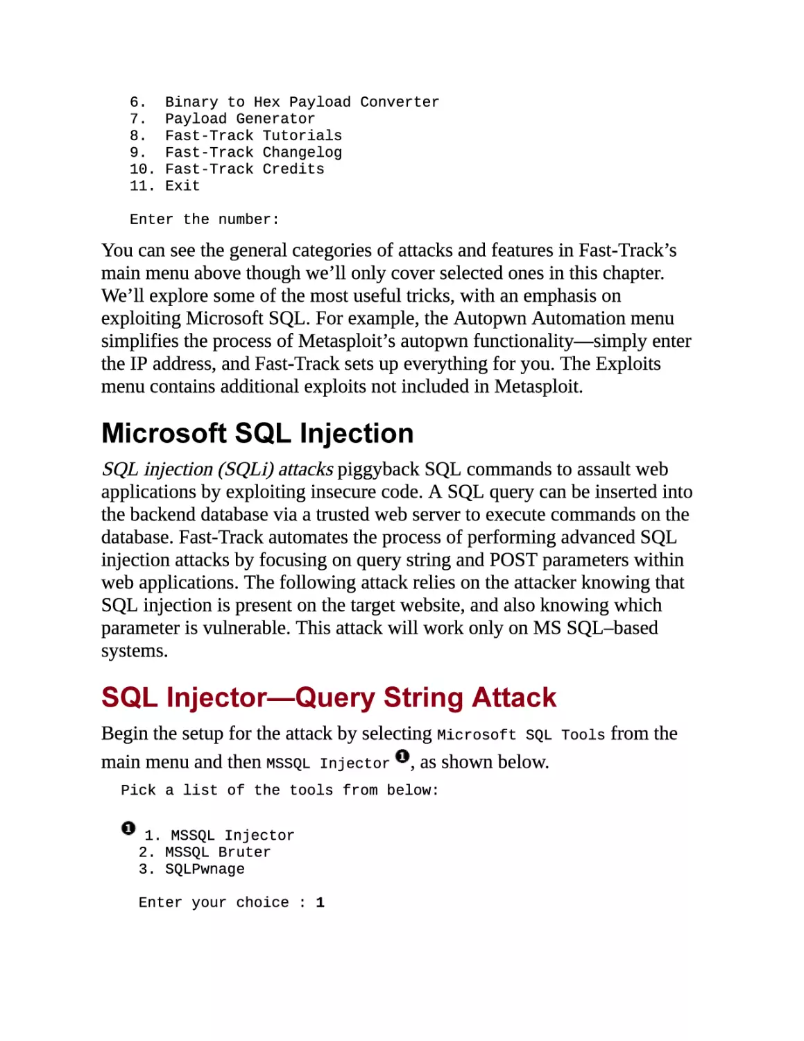 Microsoft SQL Injection
SQL Injector—Query String Attack