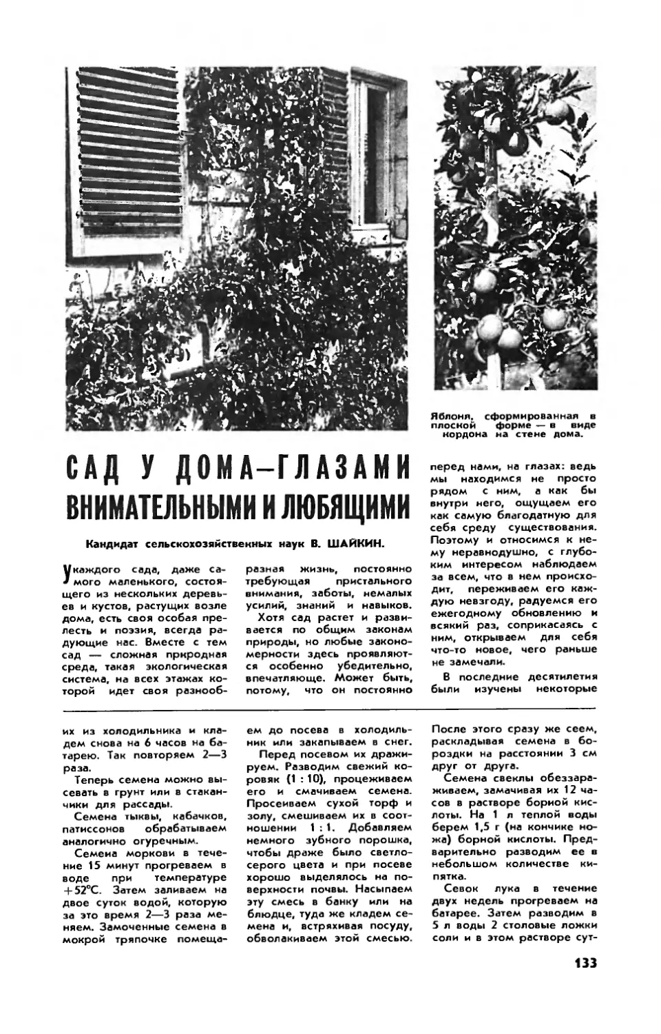 В. ШАЙКИН, канд. сельхоз. наук — Сад у дома — глазами внимательными и любящими