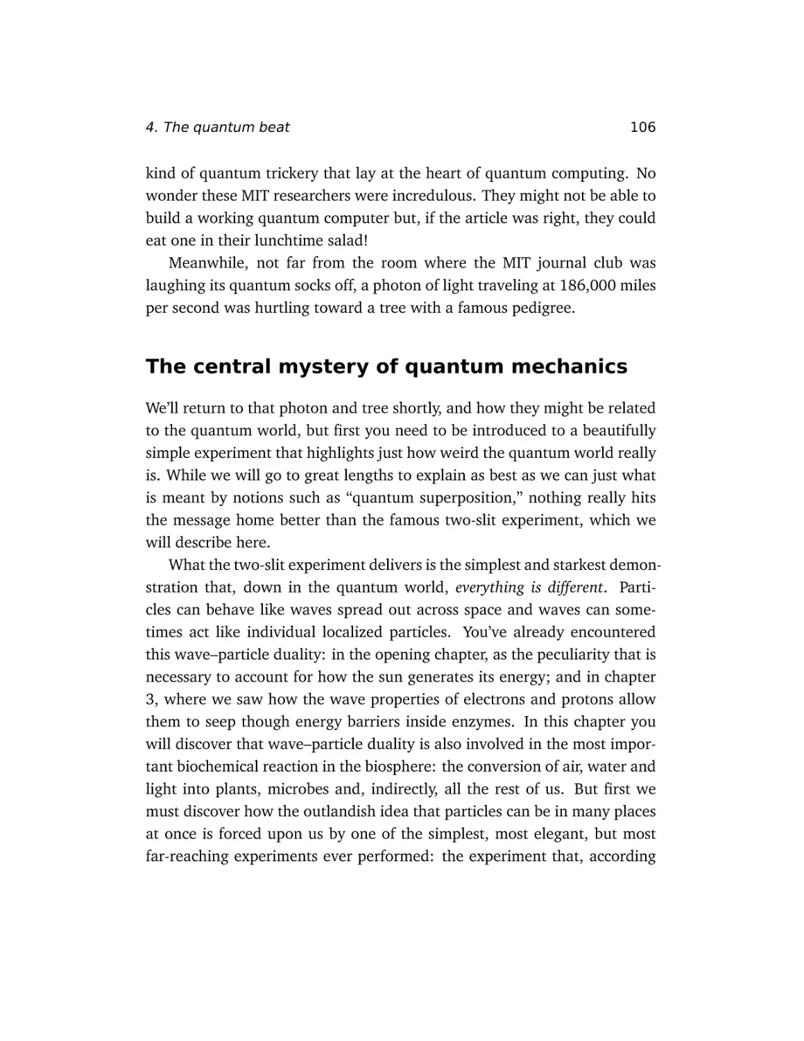 The central mystery of quantum mechanics