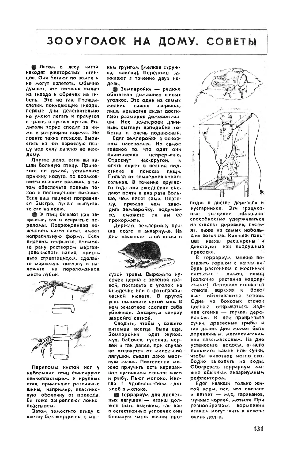 [Зооуголок на дому] — Зооуголок на дому. Советы