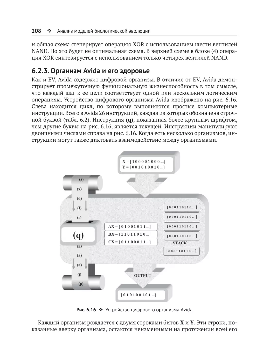 6.2.3. Организм Avida и его здоровье