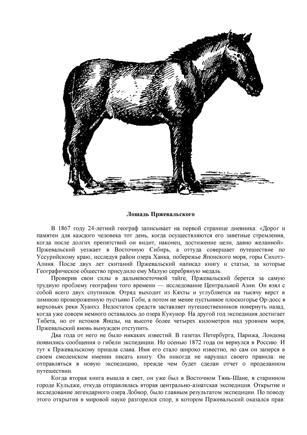 ﻿Лошадь Пржевальског