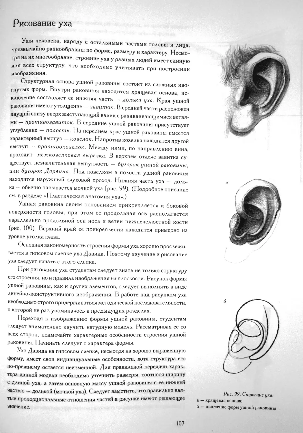 Рисование уха