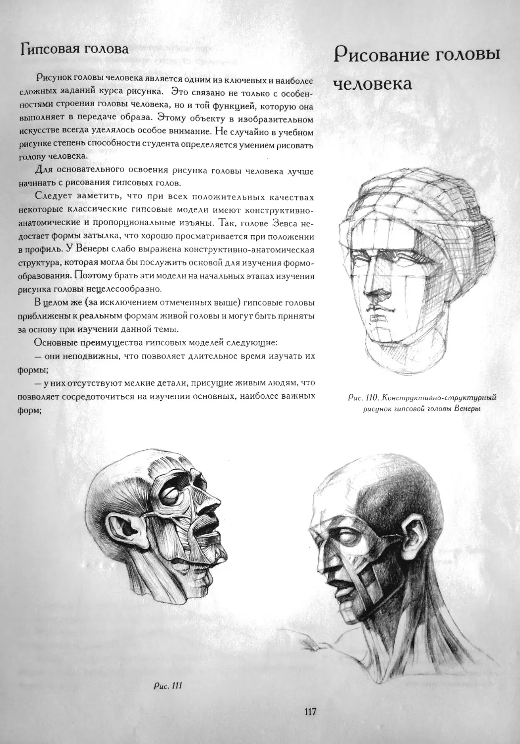 Рисование головы человека
Гипсовая голова