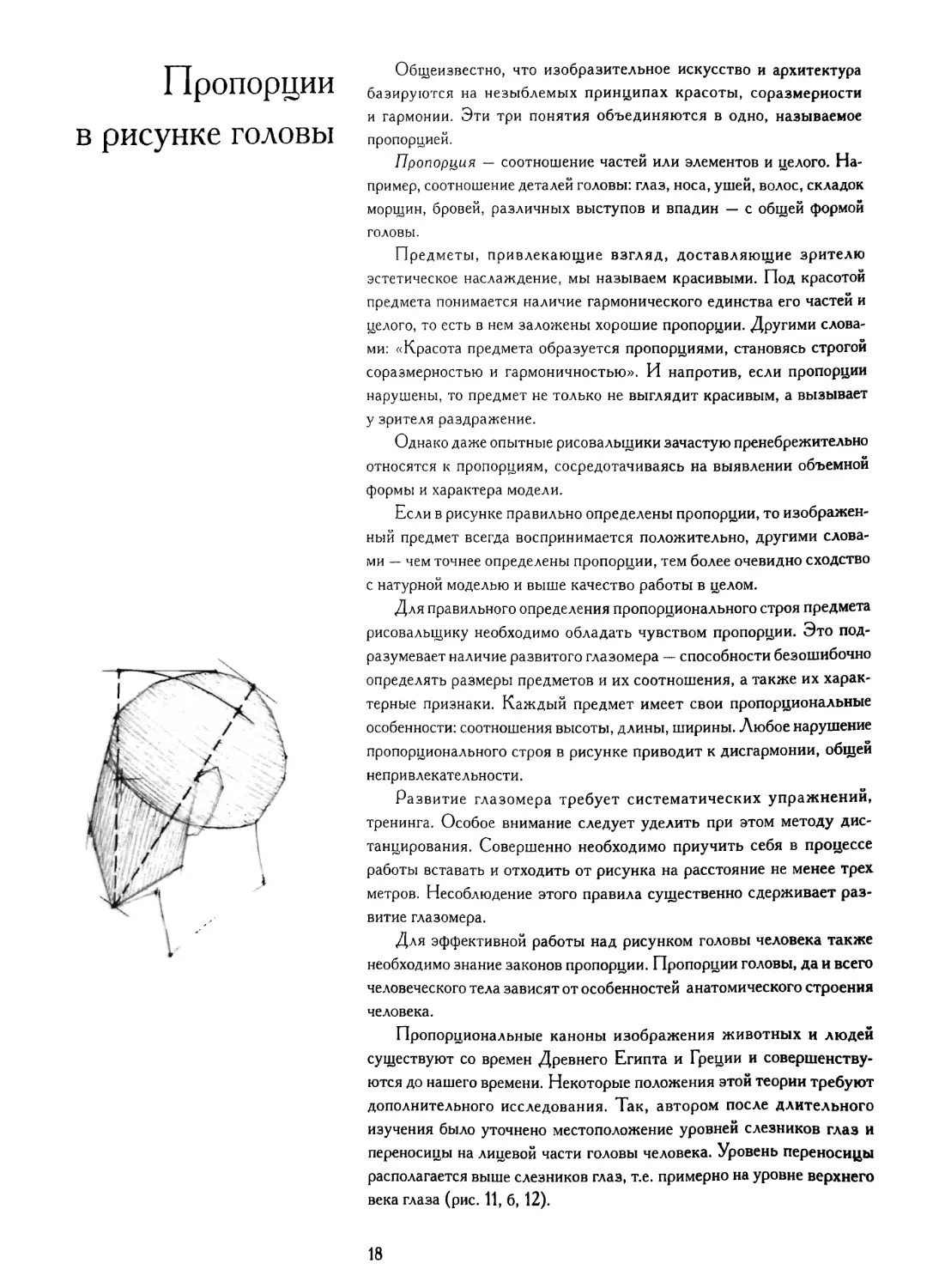 Пропорции в рисунке головы