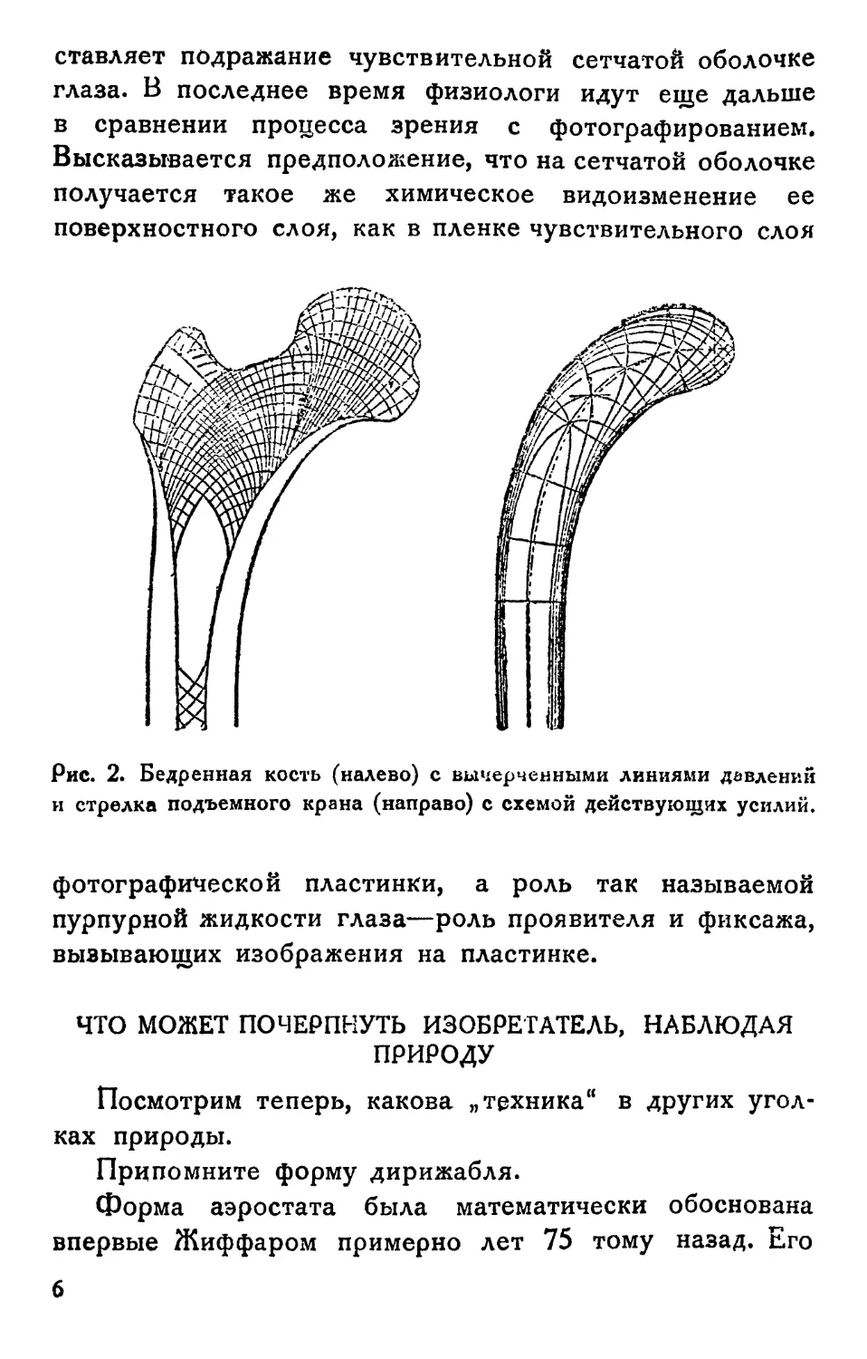 Что может почерпнуть изобретатель, наблюдая природу