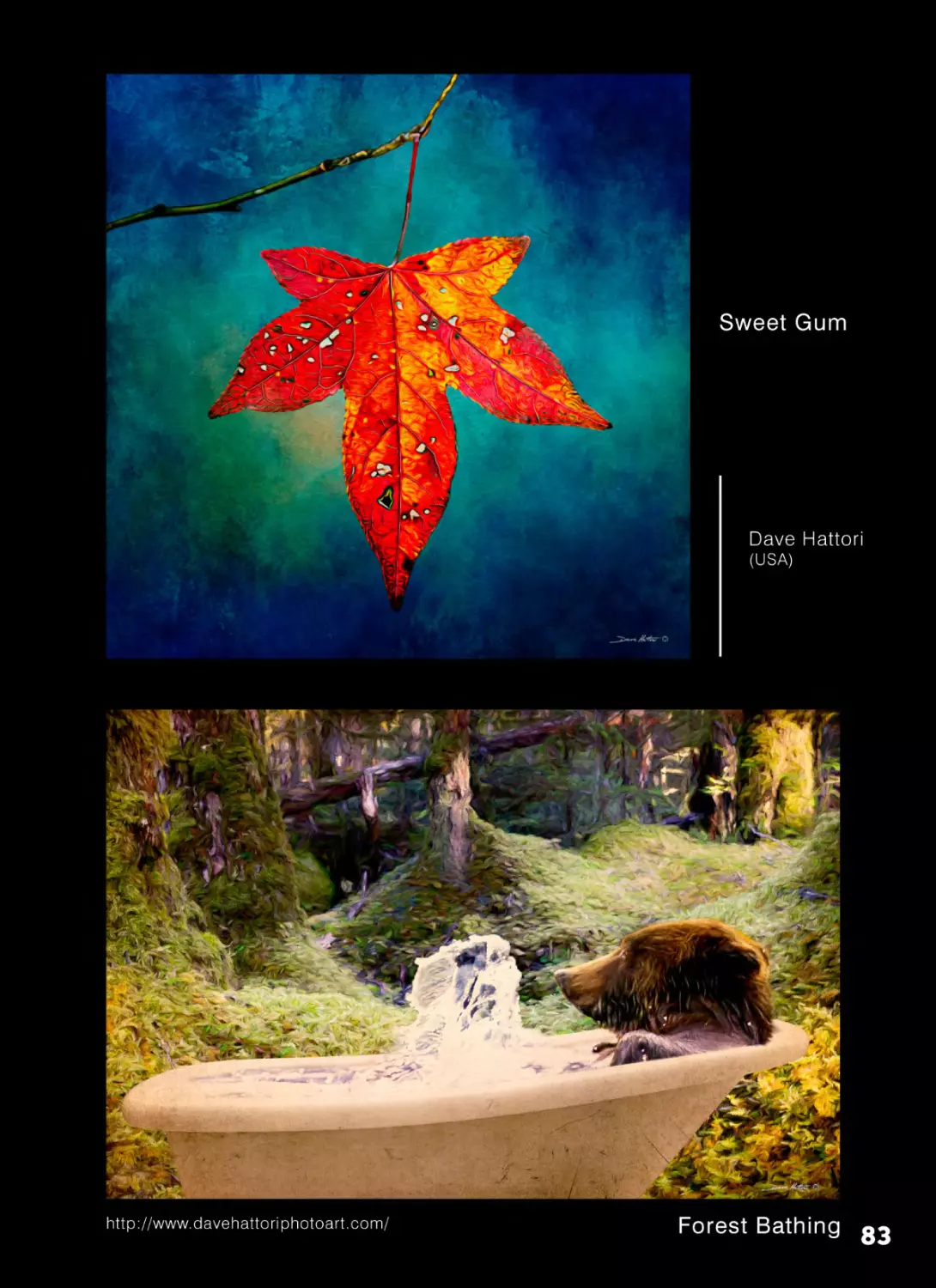 83-Dave Hattori-SweetGum&ForestBathing-R