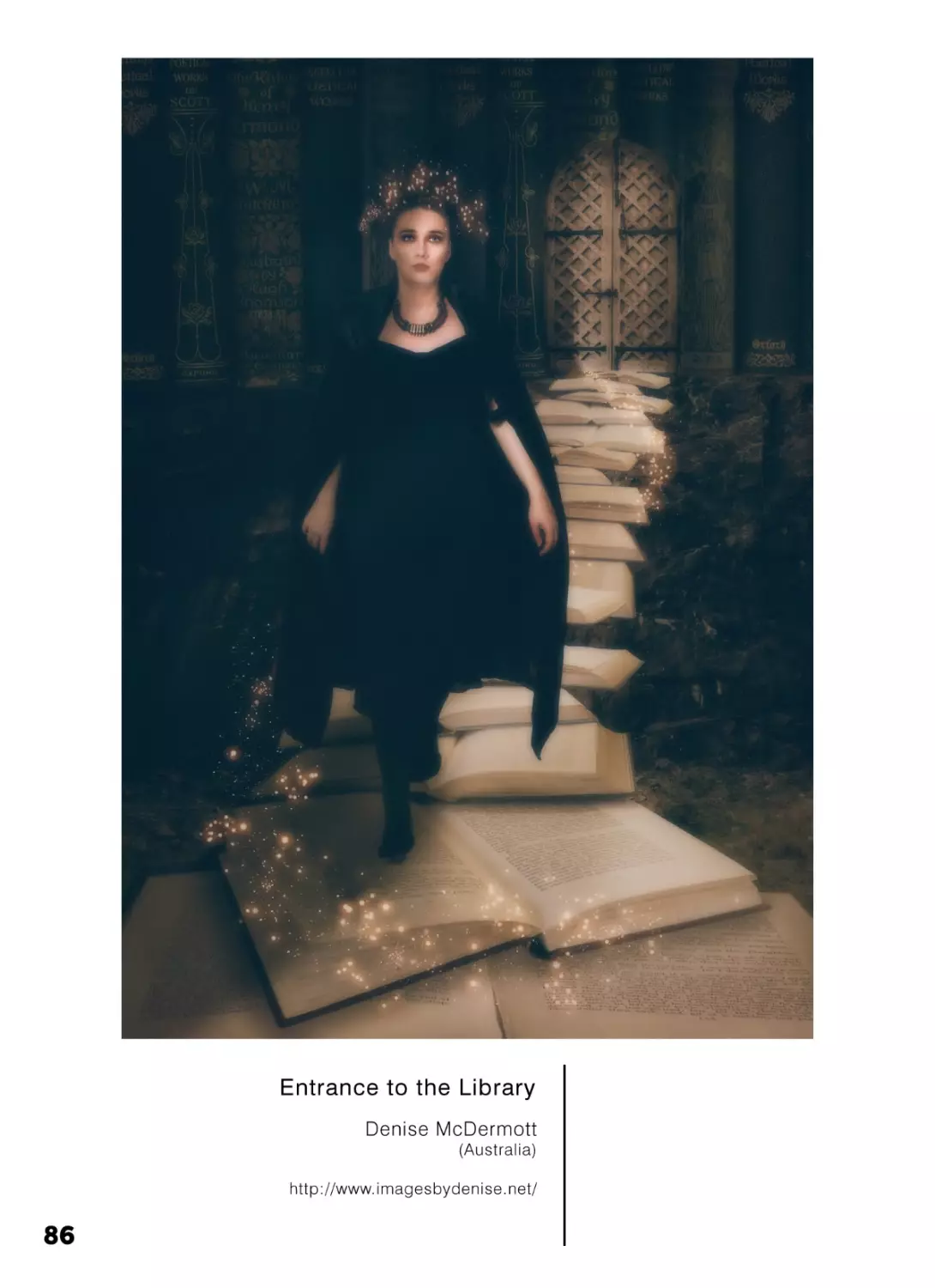 86-Denise McDermott-EntrancetotheLibrary-L