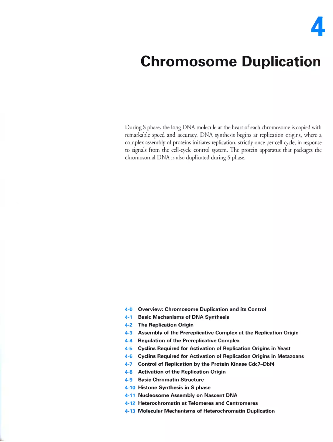 Chapter 4. Chromosome Duplication