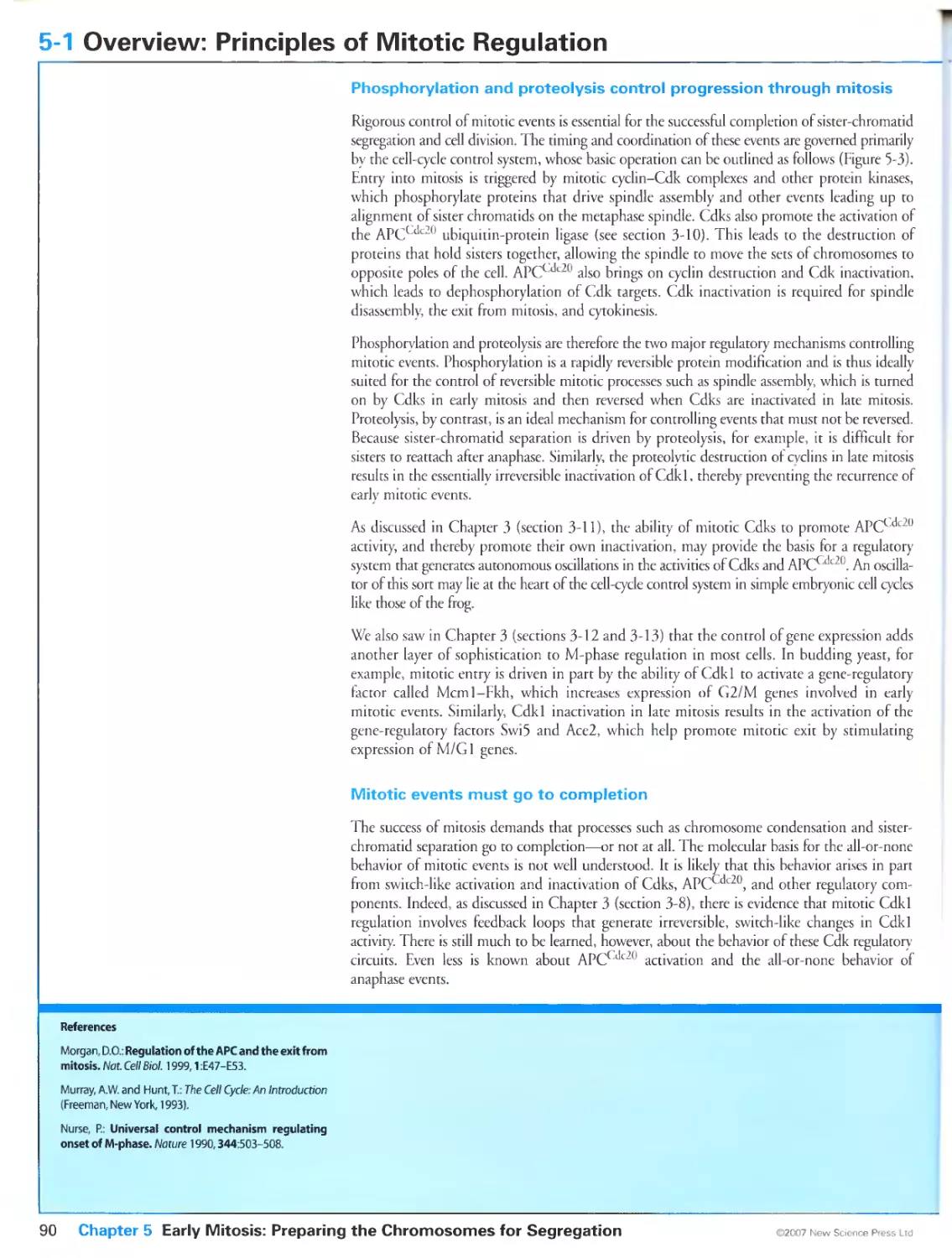 5-1 Overview: Principles of Mitotic Regulation