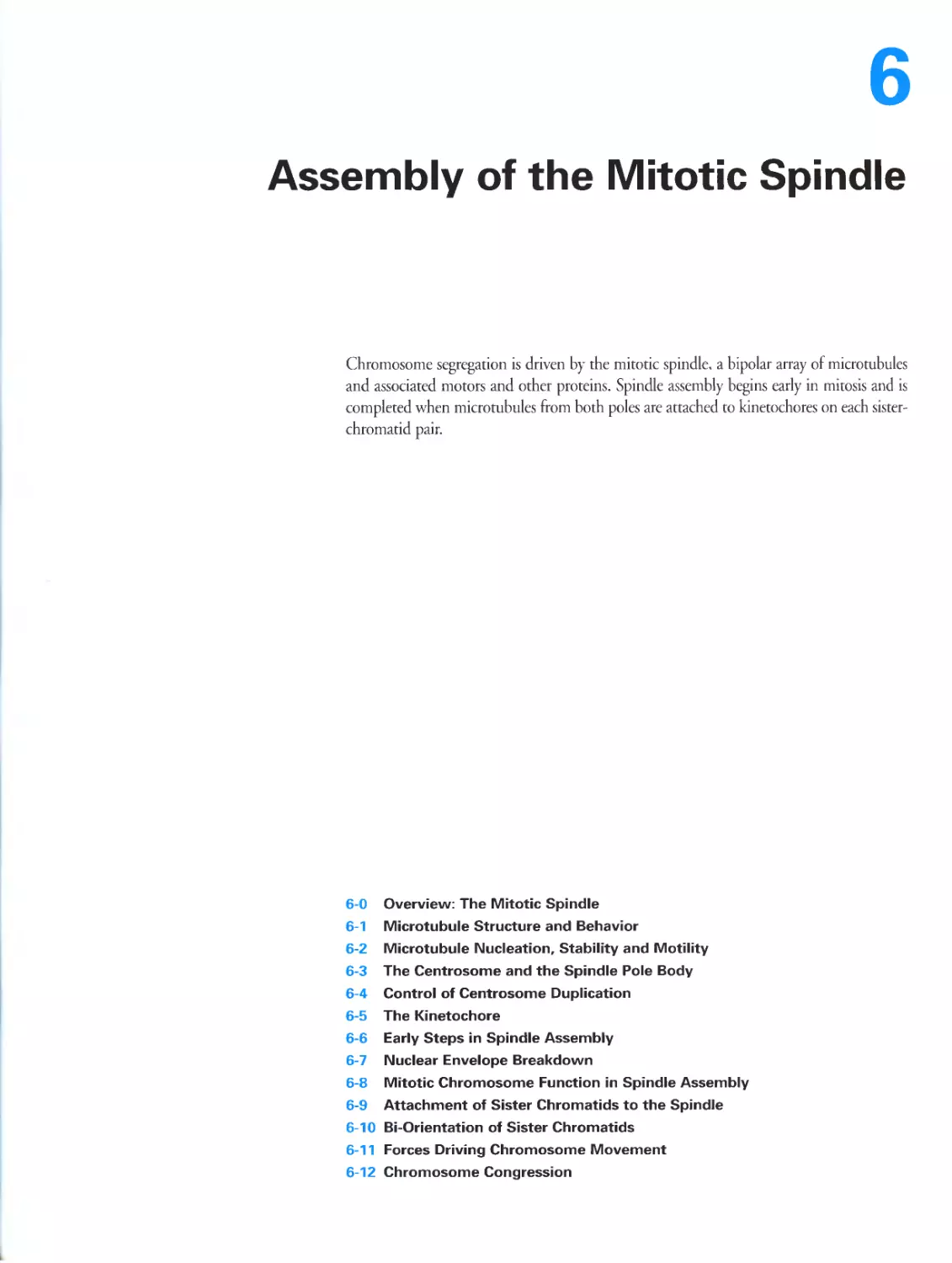 Chapter 6. Assembly of the Mitotic Spindle
