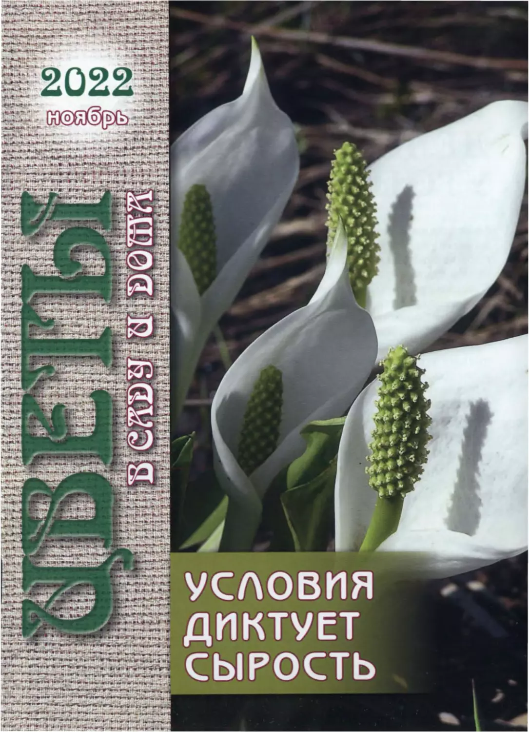 ЦВЕТЫ В САДУ И ДОМА. Условия диктует сырость