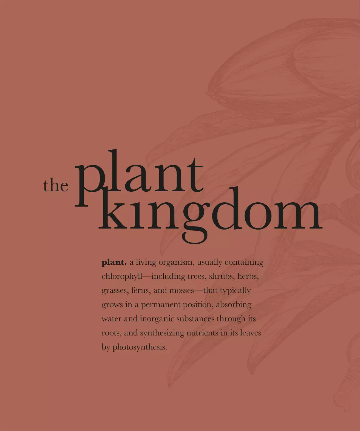 the plant kingdom