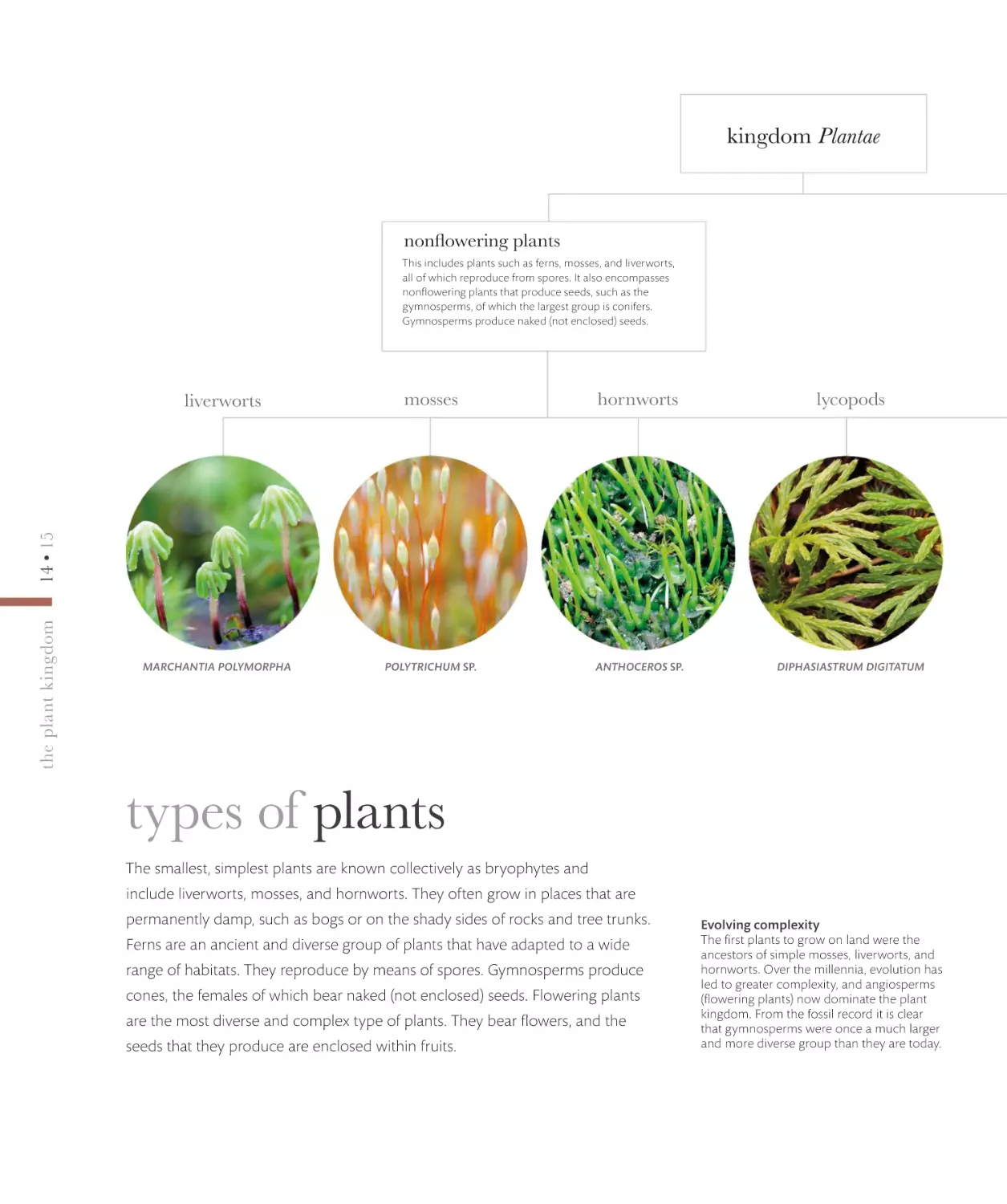 types of plants