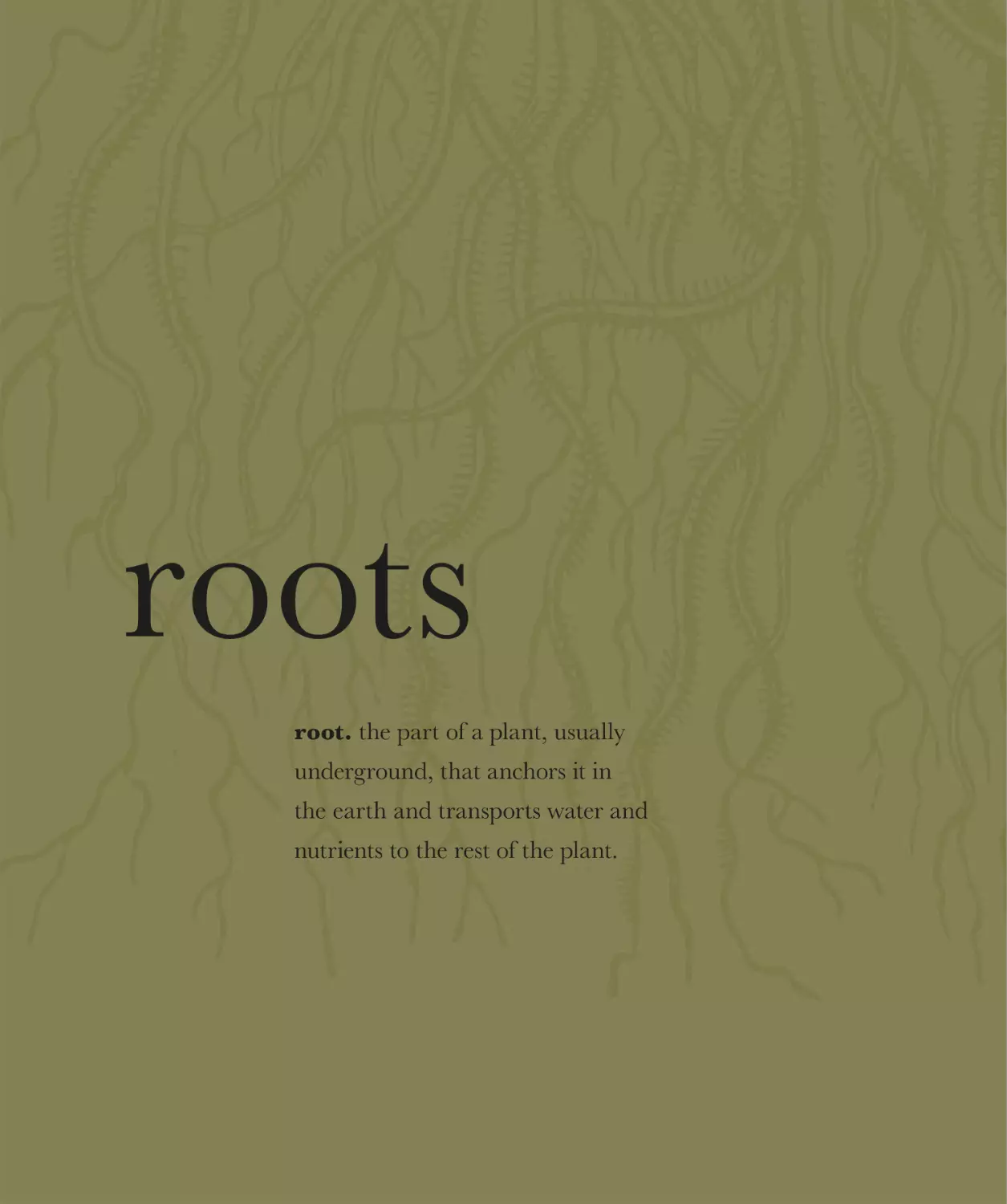 roots