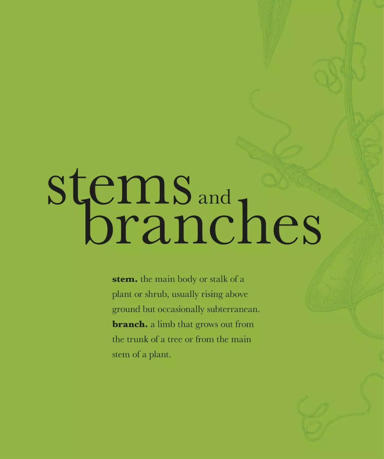 stems and branches