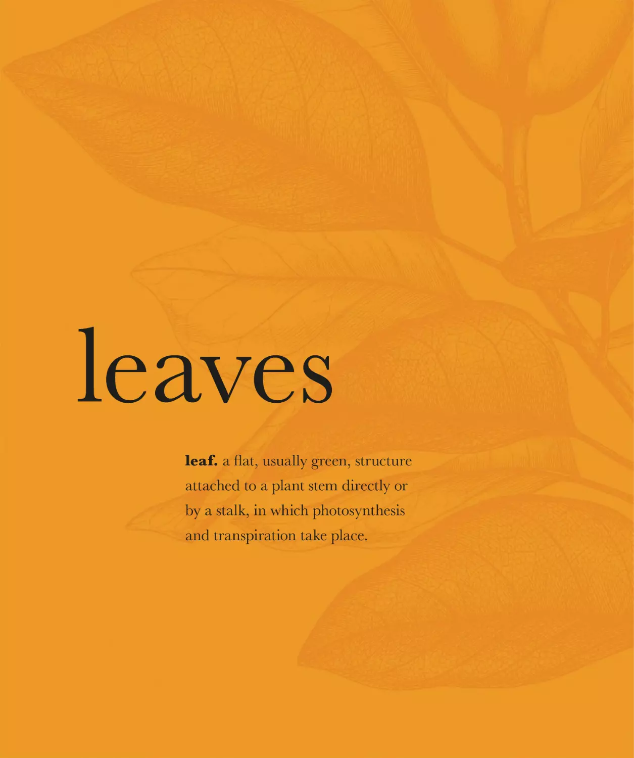 leaves