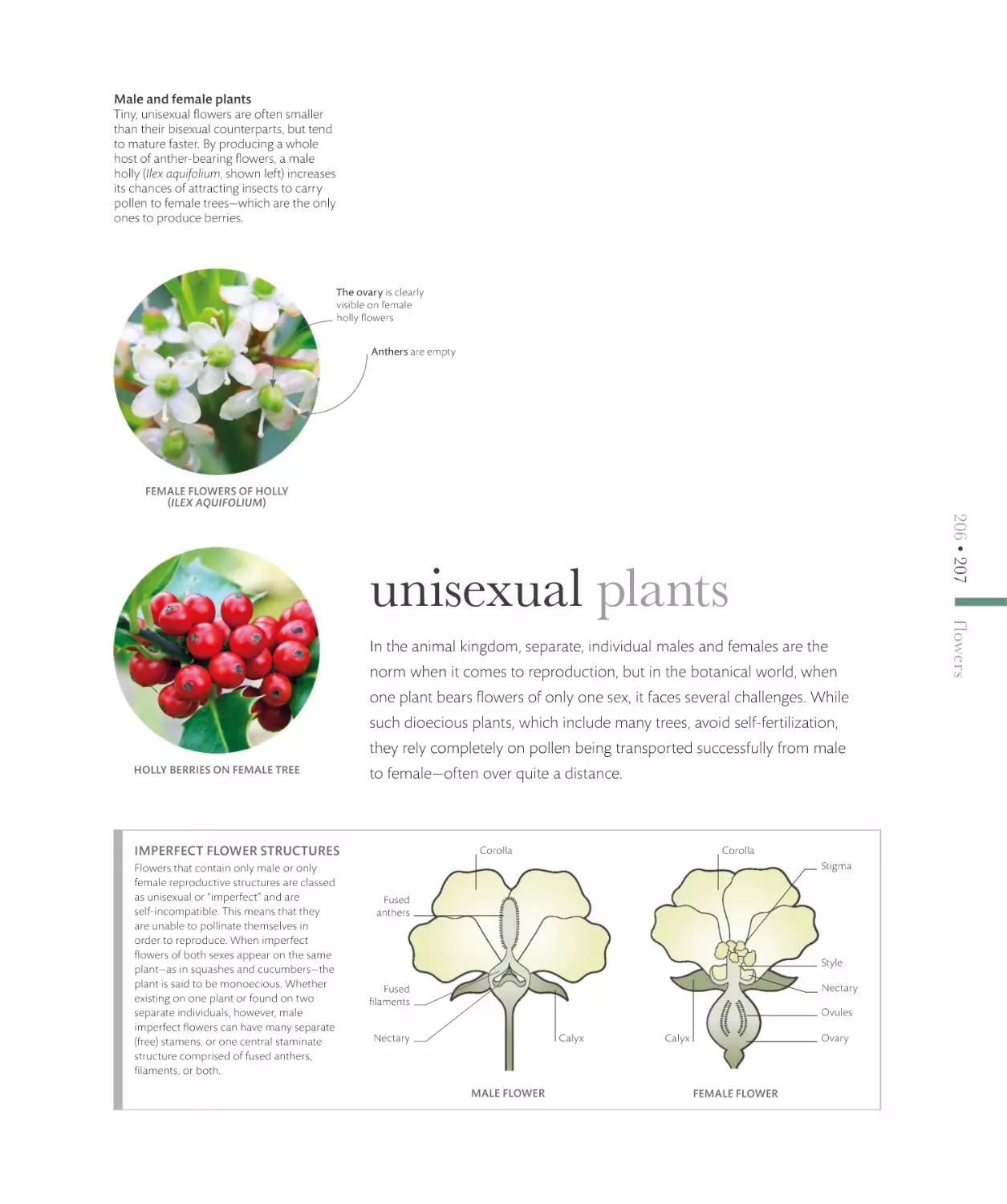 unisexual plants