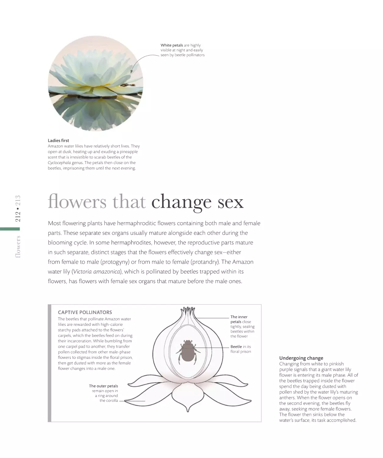 flowers that change sex