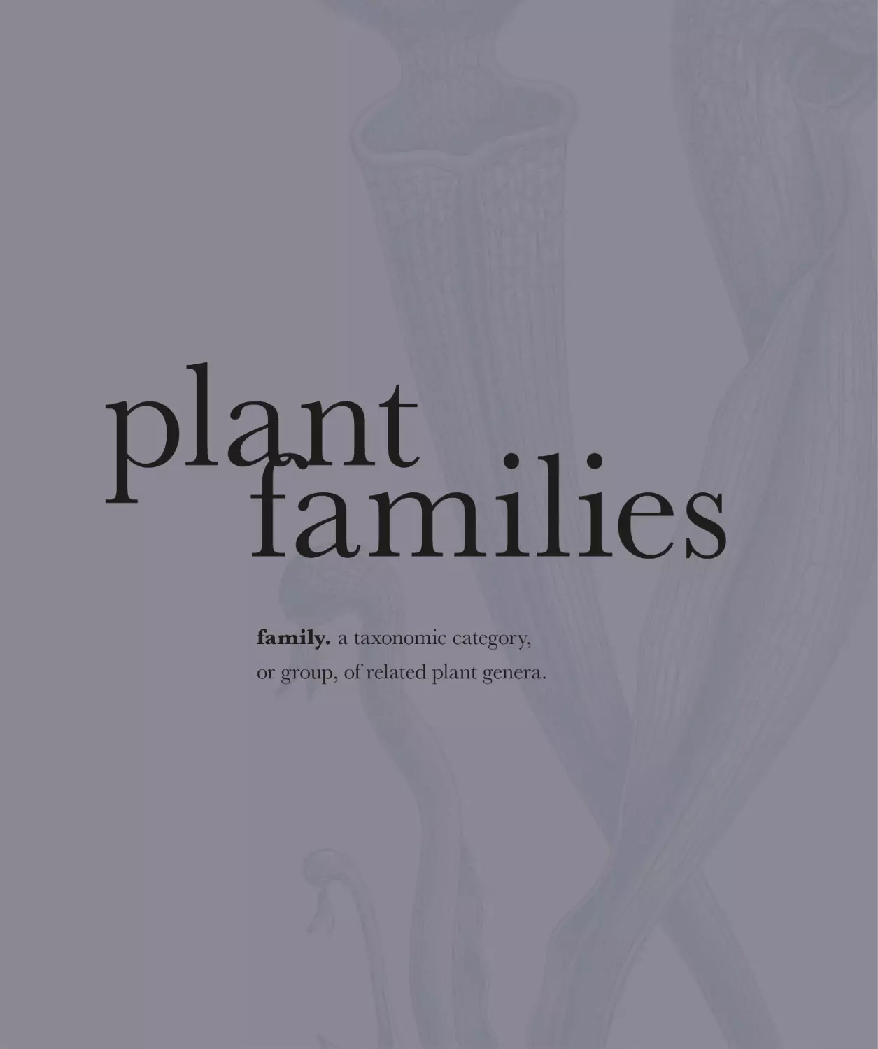 plant families