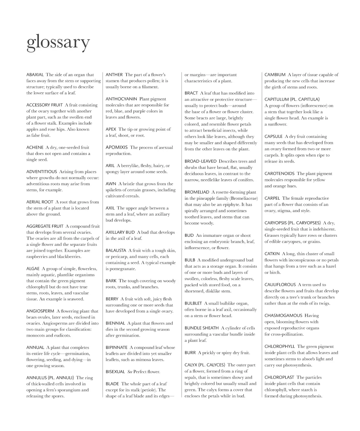 glossary