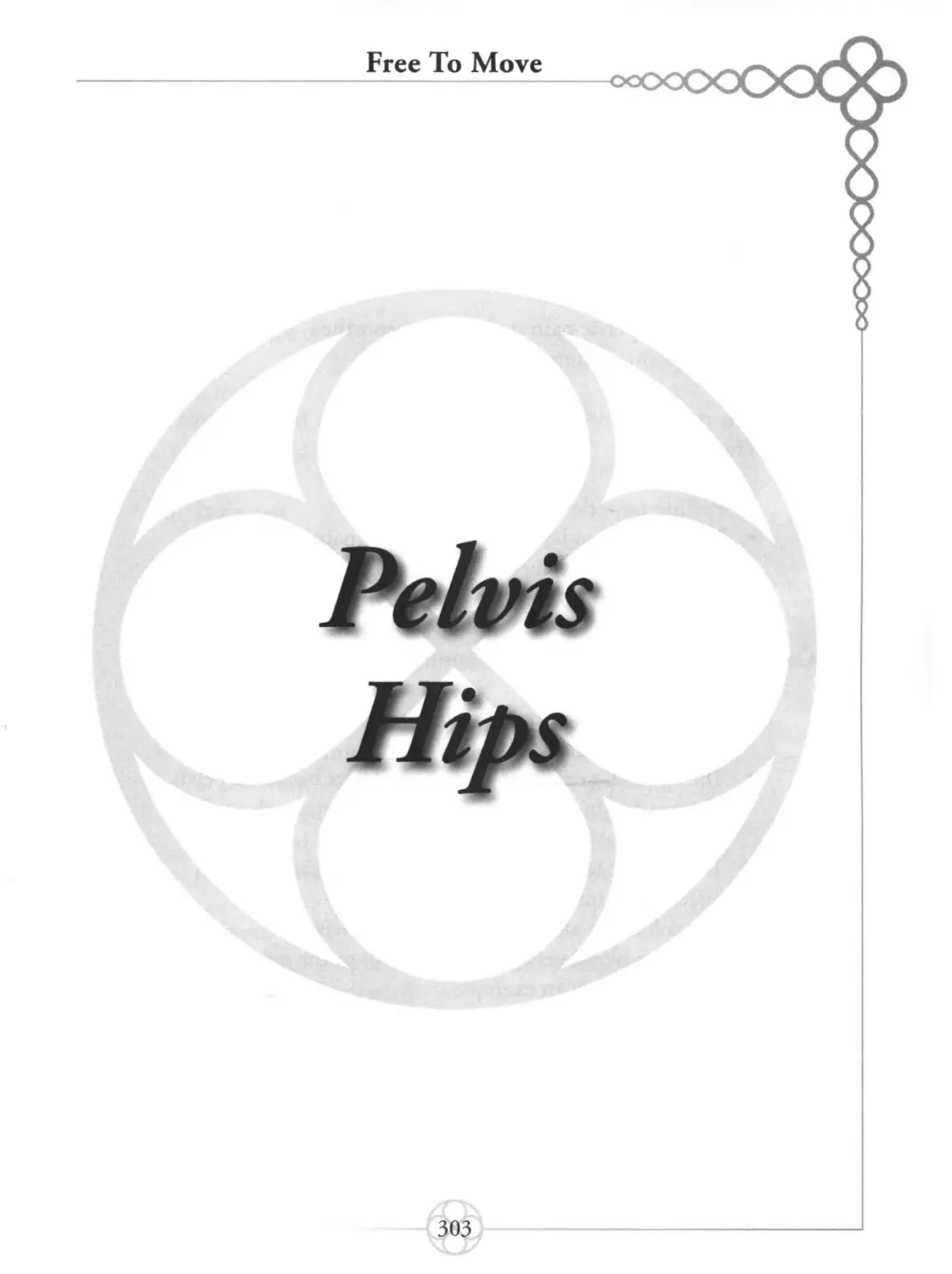 Pelvis, Hips