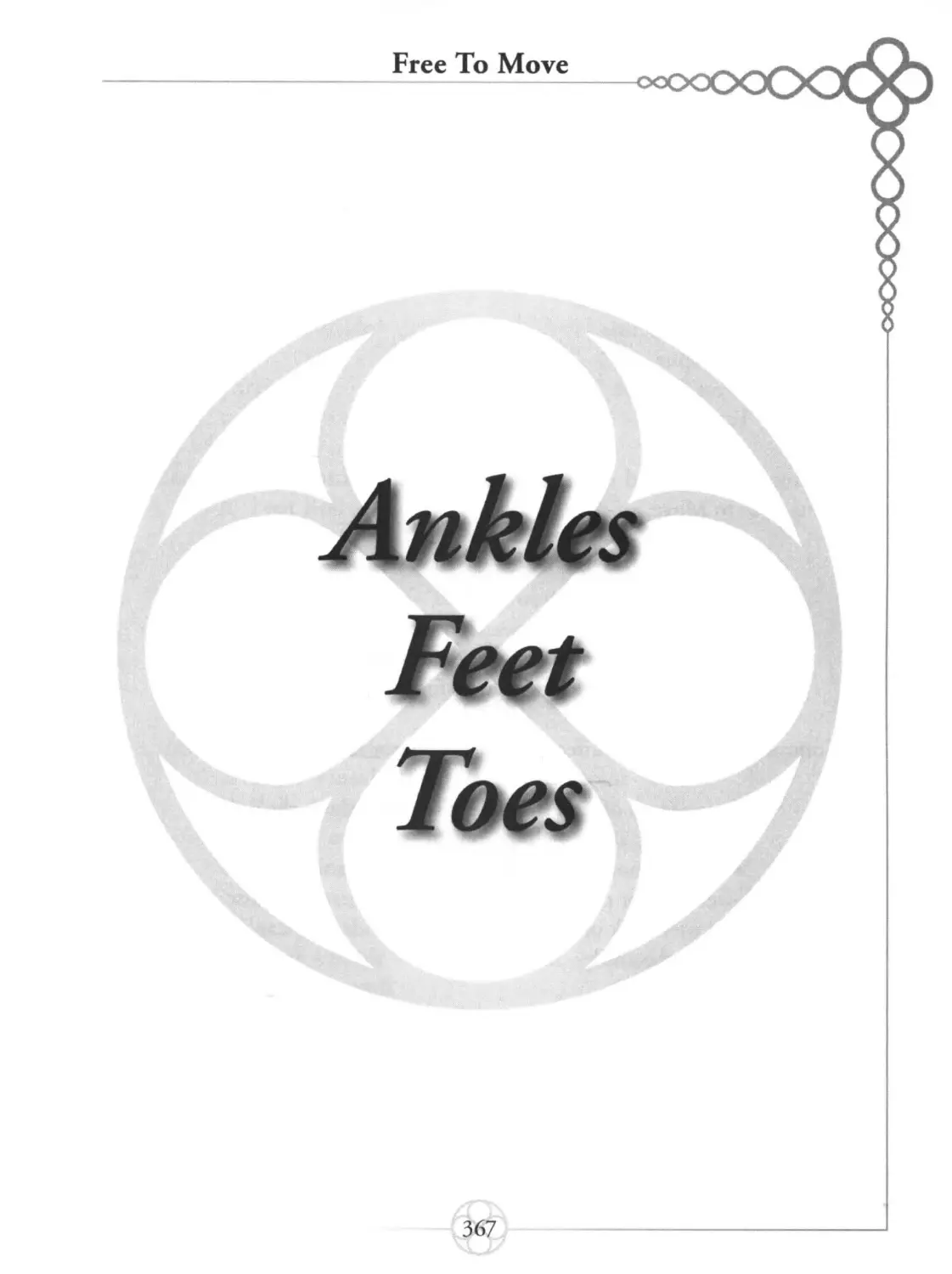 Ankles, Feet, Toes