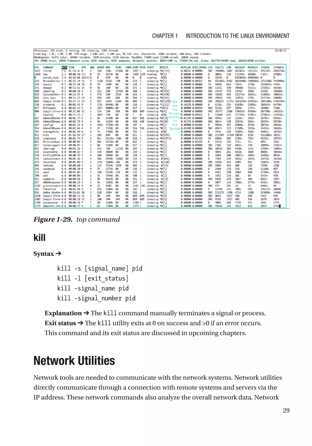 kill
Network Utilities