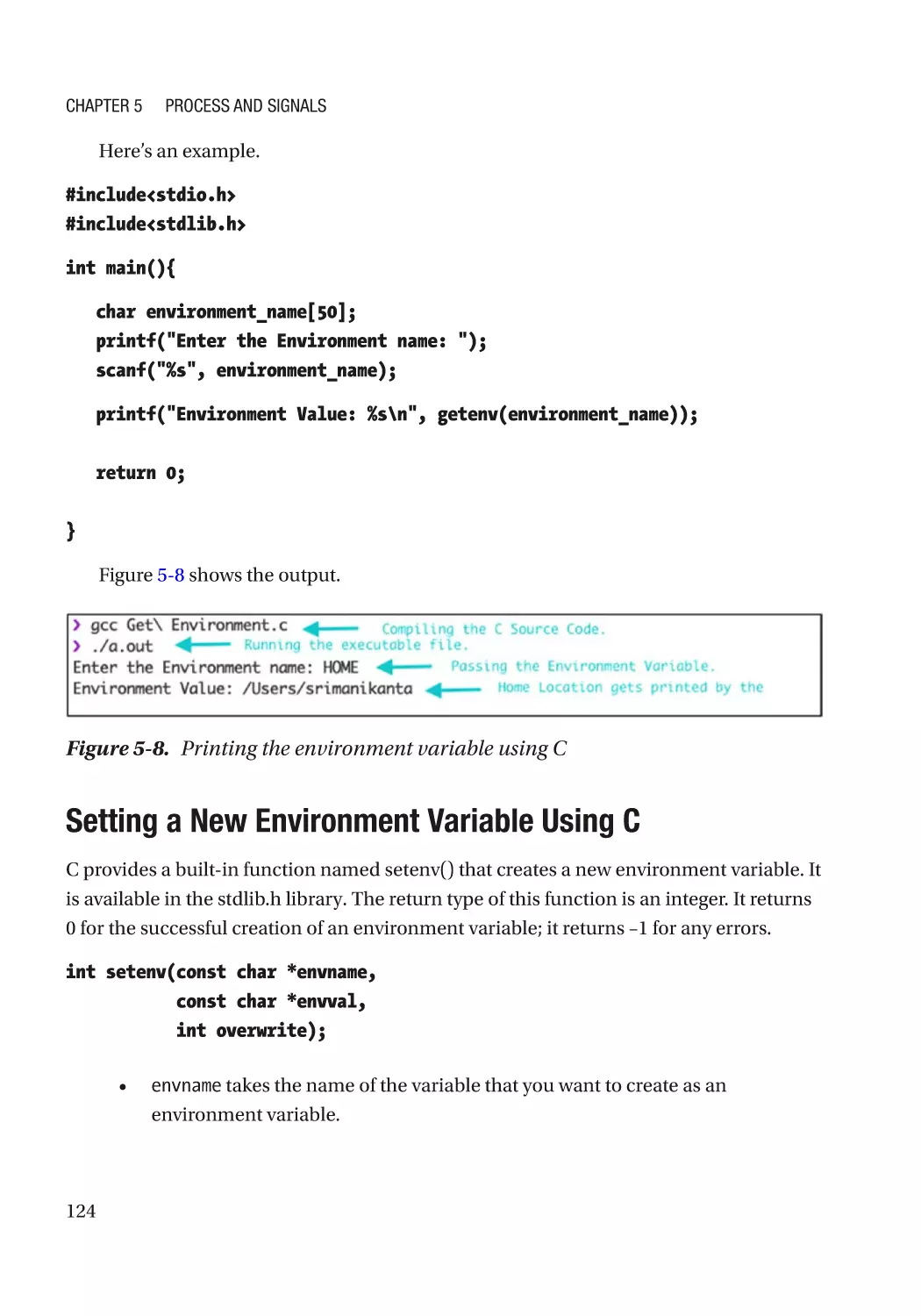 Setting a New Environment Variable Using C
