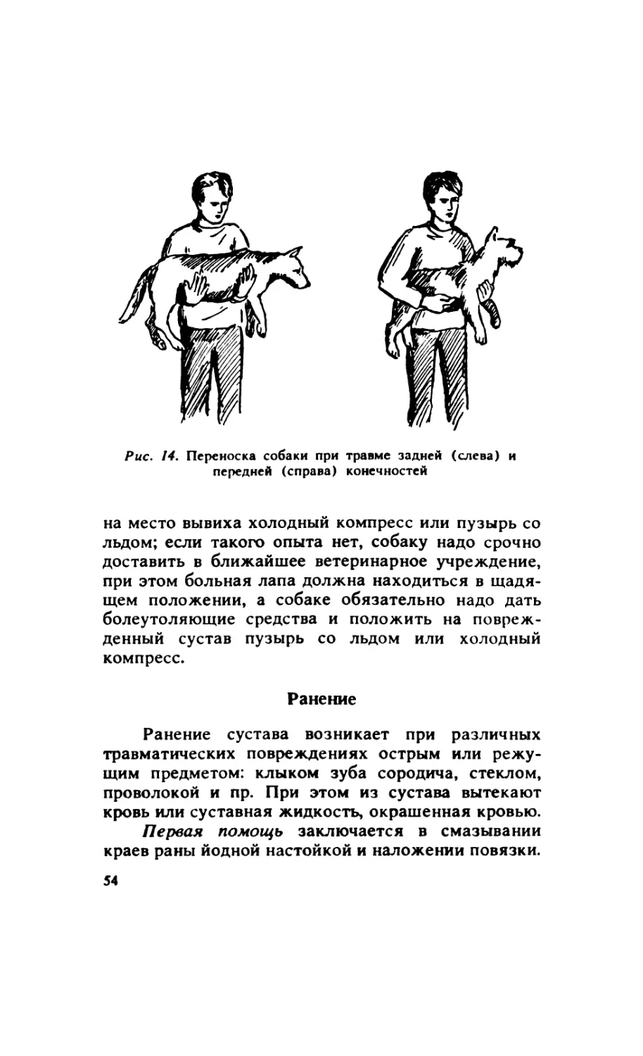 3.11.3. Ранение