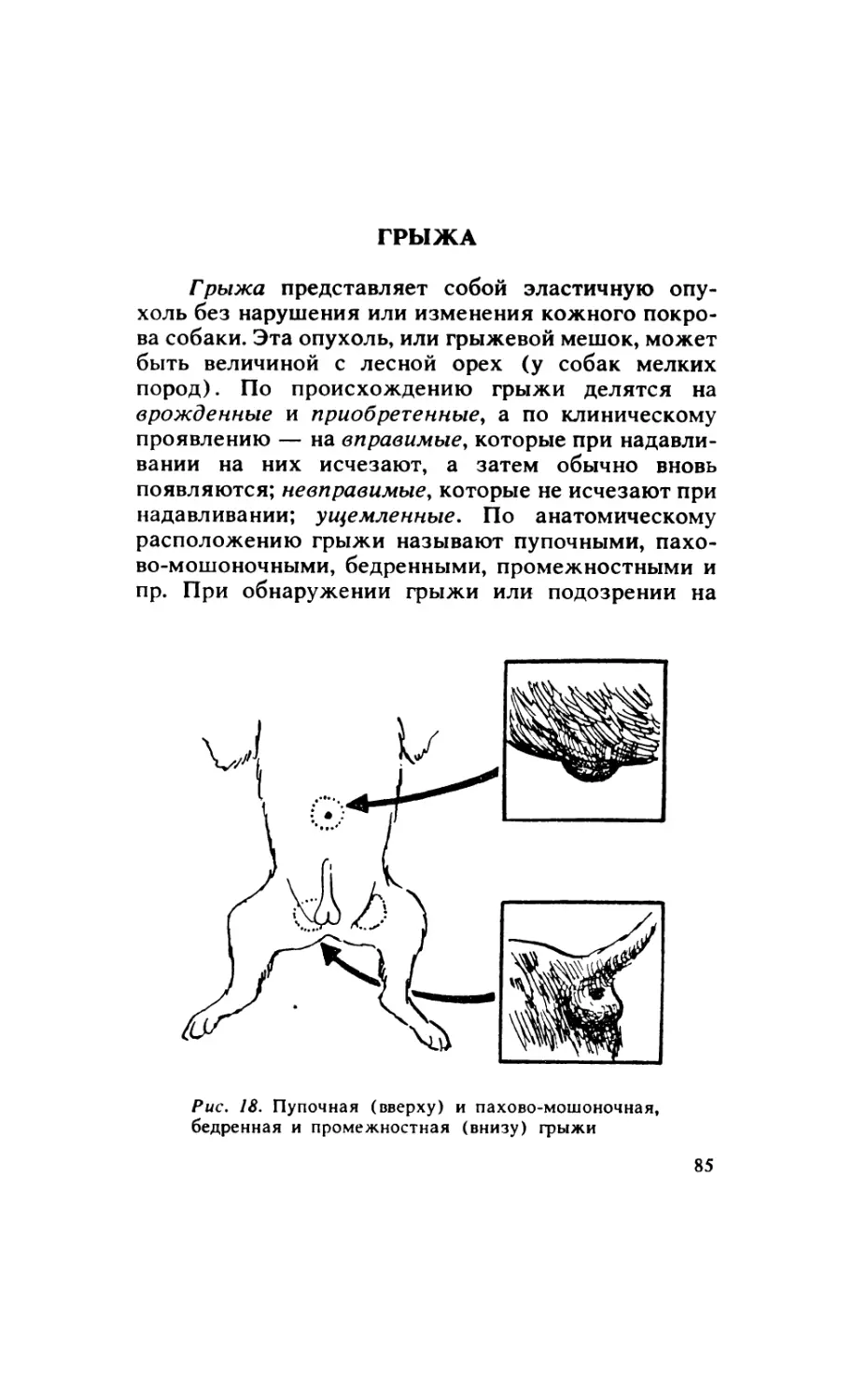 4.6. Грыжа