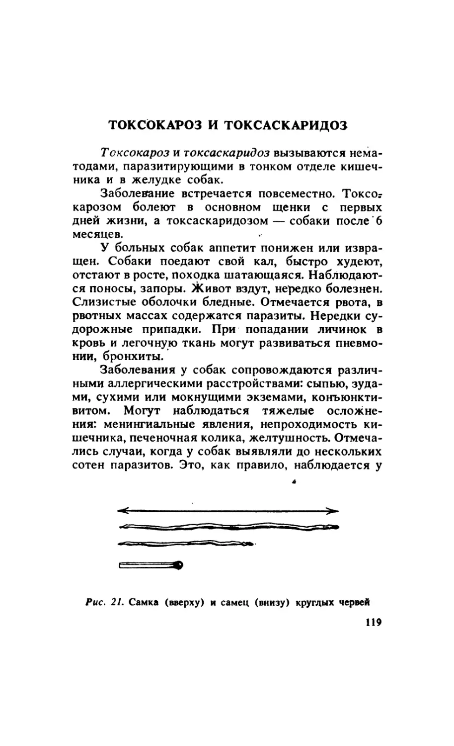 7.8. Токсокароз и токсаскаридоз