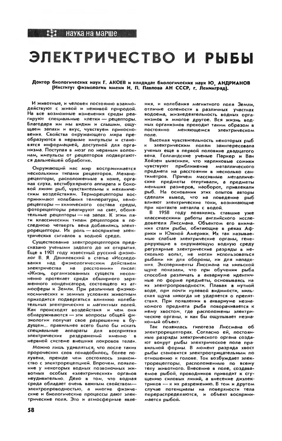 Г. АКОЕВ, докт. биол. наук, Ю. АНДРИАНОВ, канд. биол. наук — Электричество и рыбы