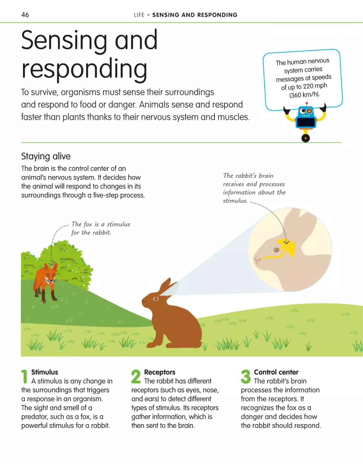 Sensing and responding 46