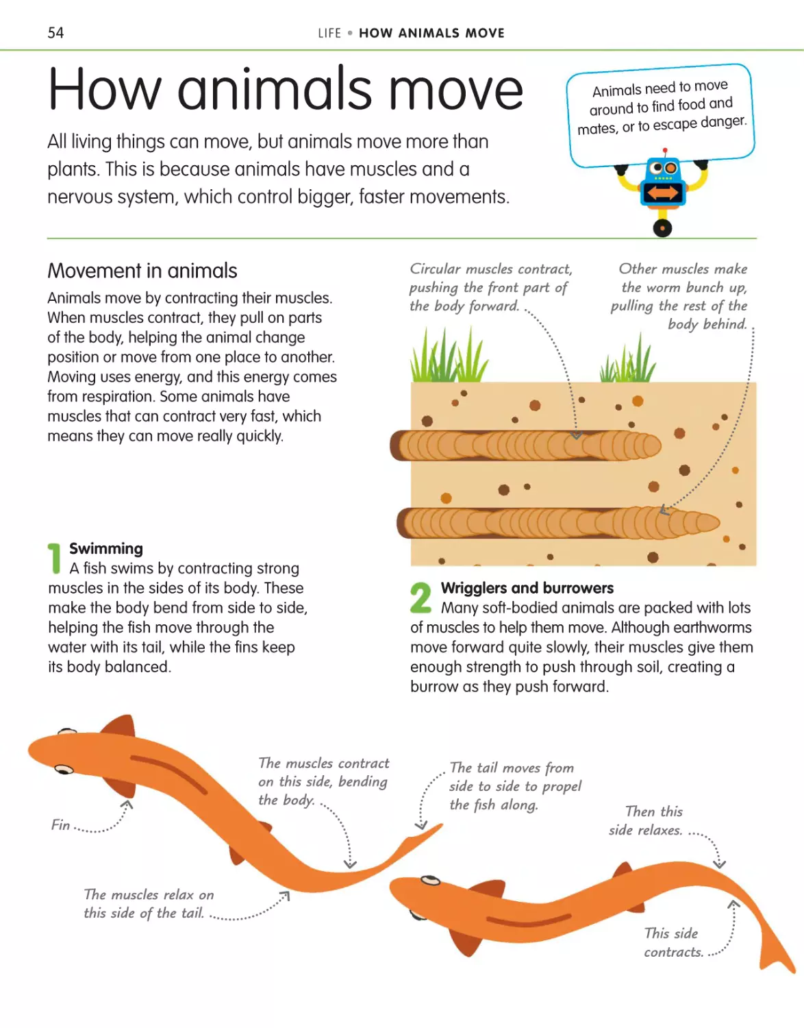 How animals move 54