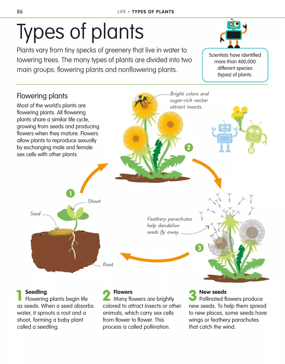 Types of plants 86