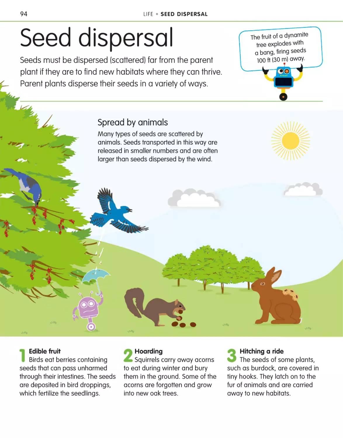 Seed dispersal 94