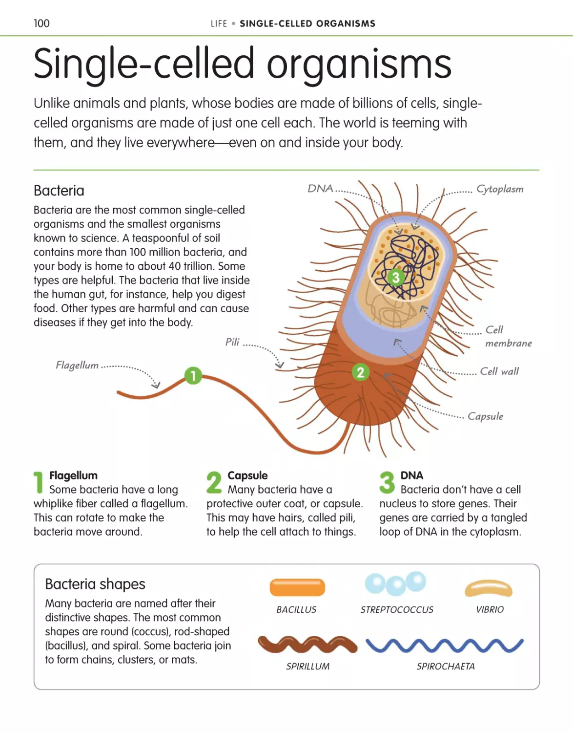 Single-celled organisms 100