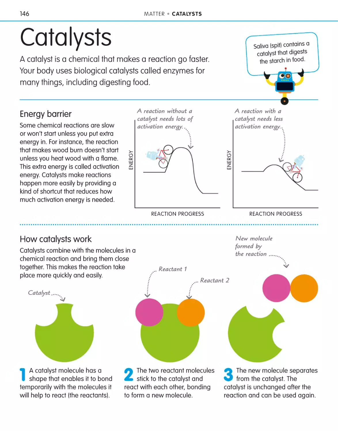 Catalysts 146