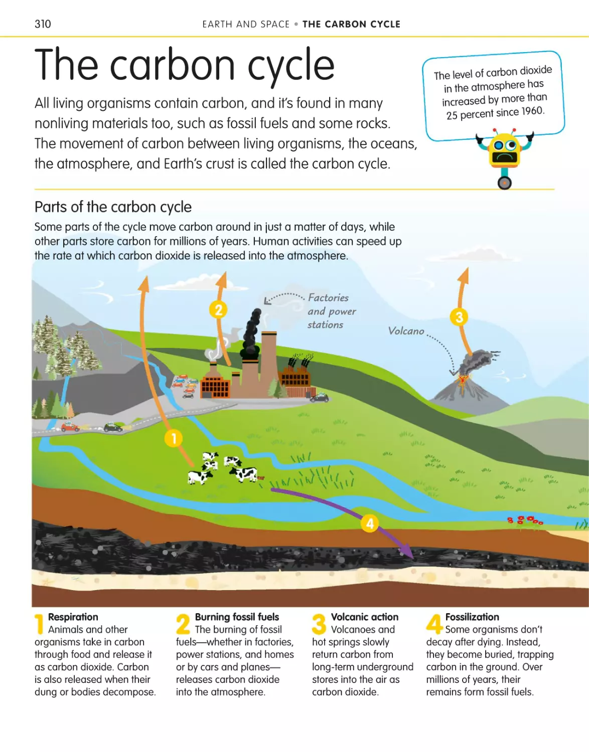 The carbon cycle 310