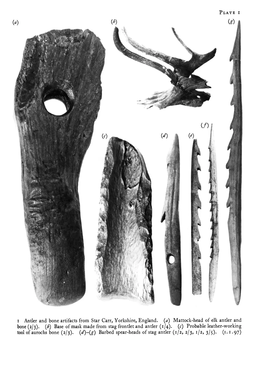 PRIMITIVE MAN IN EUROPE IN MESOLITHIC TIMES