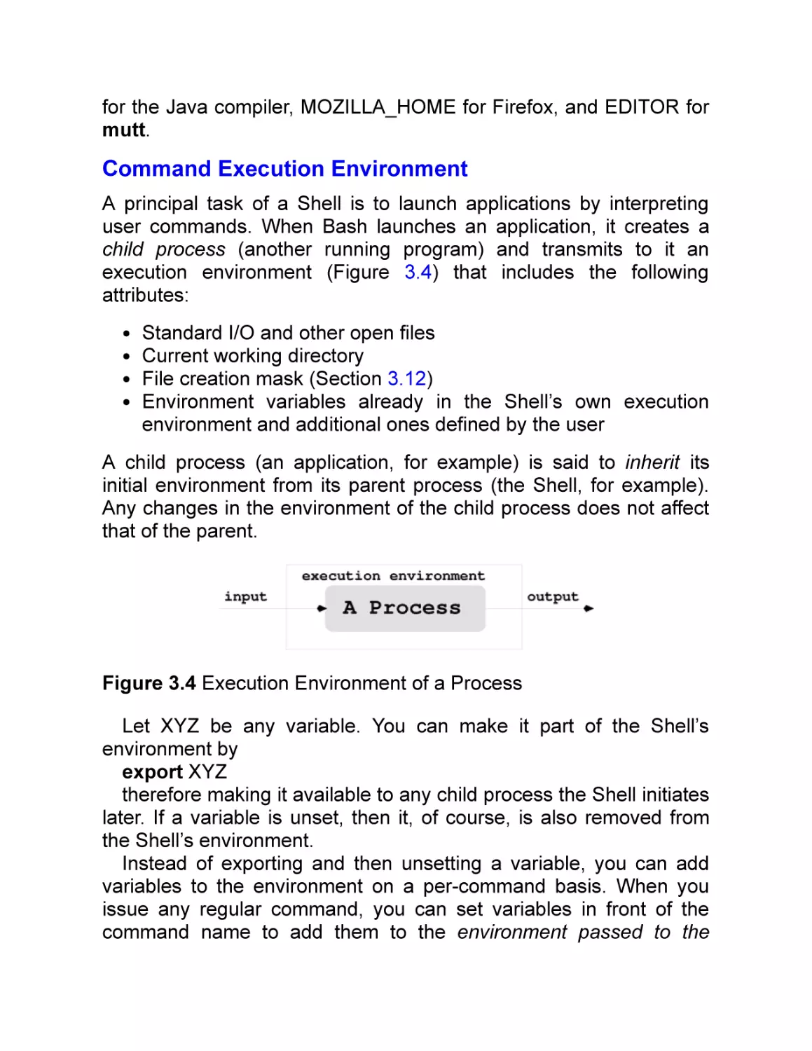 Command Execution Environment