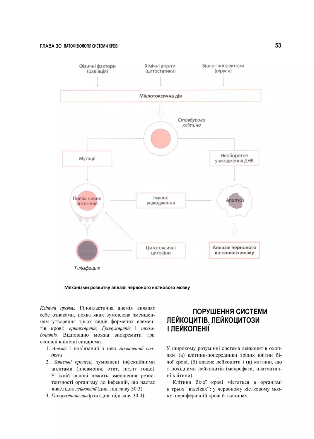 Механізми розвитку аплазії червоного кісткового мозку
ПОРУШЕННЯ СИСТЕМИ ЛЕЙКОЦИТІВ. ЛЕЙКОЦИТОЗИ І ЛЕЙКОПЕНІЇ