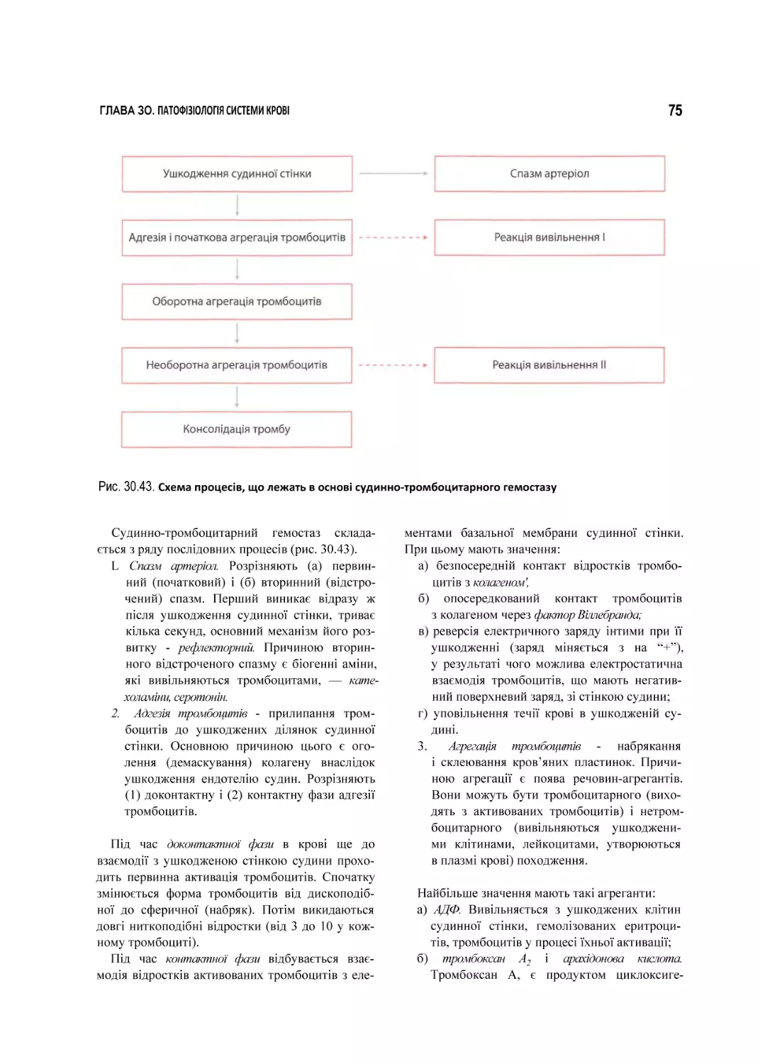 Рис. 30.43. Схема процесів, що лежать в основі судинно-тромбоцитарного гемостазу