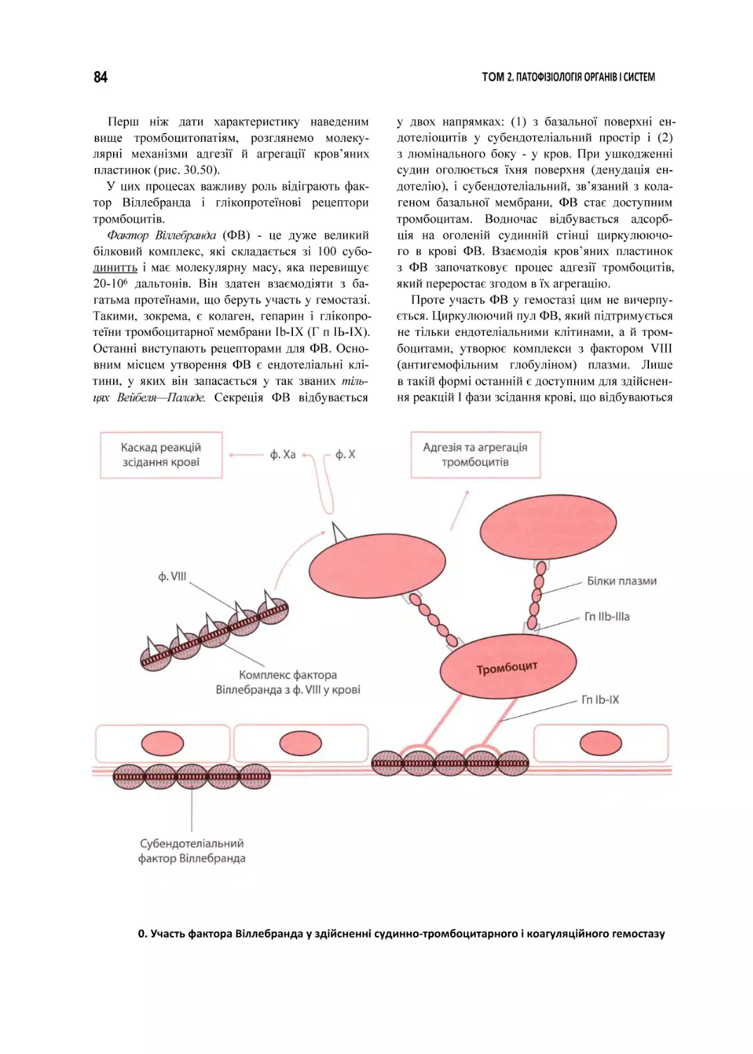 0. Участь фактора Віллебранда у здійсненні судинно-тромбоцитарного і коагуляційного гемостазу