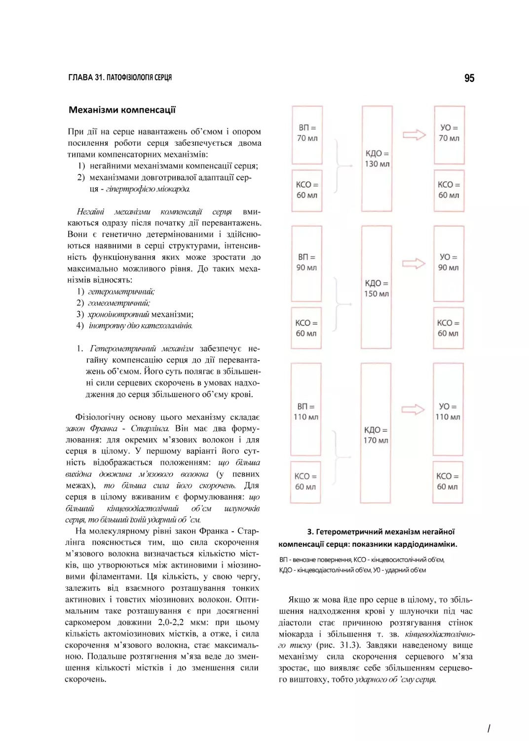 Механізми компенсації
3. Гетерометричний механізм негайної компенсації серця